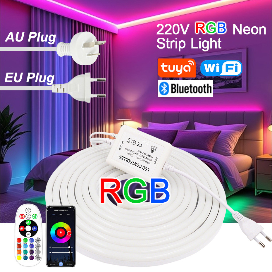 Outdoor Lighting Timer Switch - 220V RGB LED Neon Strip with