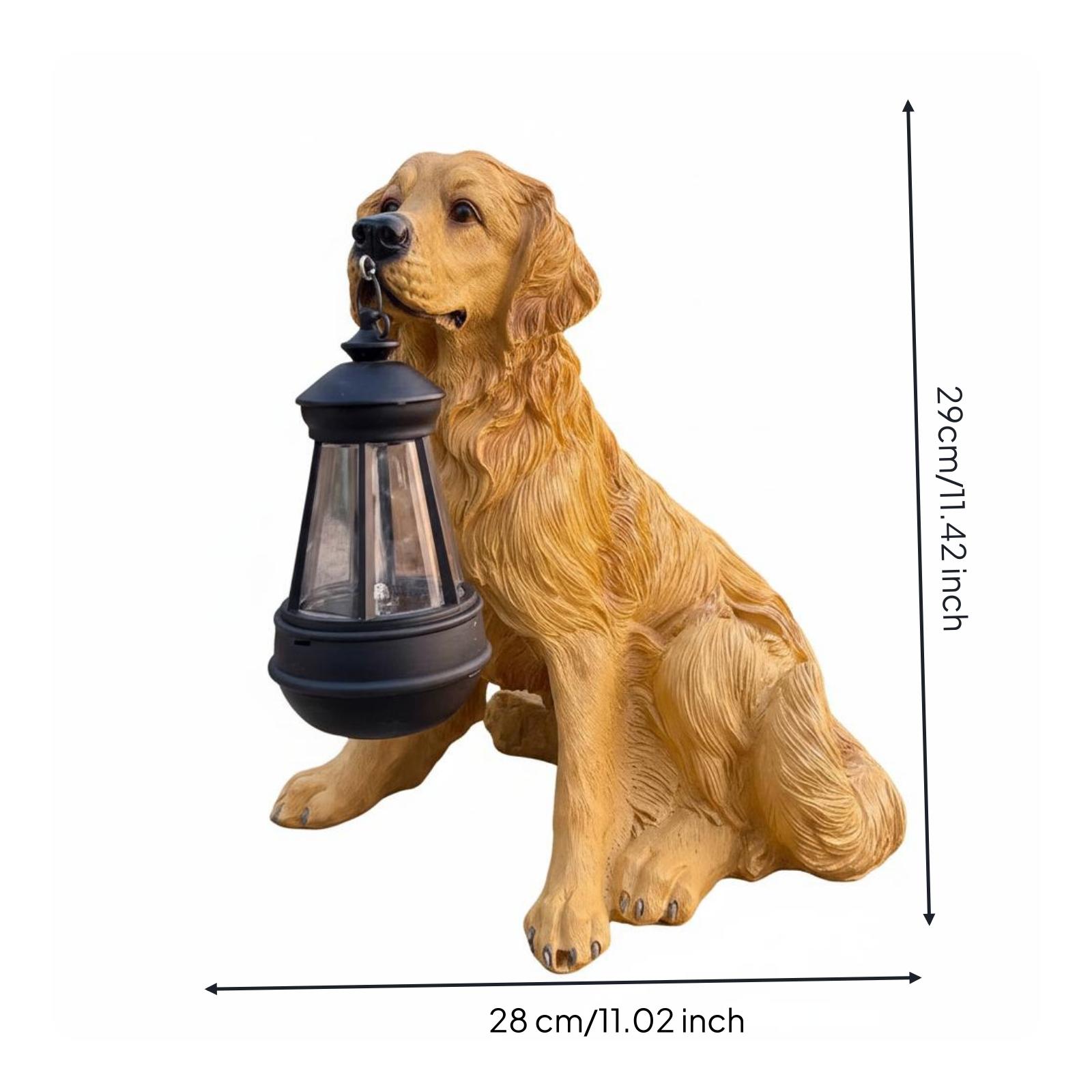 Outdoor Decorative Light Resin - Solar Lantern Hanging review and price